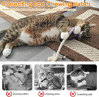 Tocirelo Cat Toys Silvervine Sticks - 8Pack Natural Silvervine Sticks for Cats, Cat Chew Toy for Teeth Cleaning, Interactive Kitten Chew Ropes to Redirect Chewing Habits, Kitty Chew Sticks