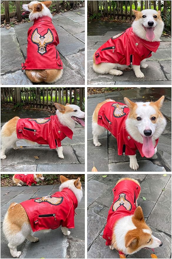 Lovelonglong Cool Dog Leather Jacket, Warm Coats Dogs Windproof Cold Weather Coats for Large Medium Small Dogs with Eagle Embroidery Red M