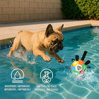ProBall Pets Interactive Dog Soccer Ball with Grab Tabs - Floats on Water, Fetch & Training Toy for Small Medium Dogs, Herding Breeds - Waterproof Non-Toxic - 6" Multicolor