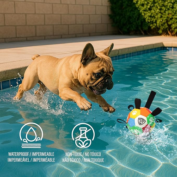 ProBall Pets Interactive Dog Soccer Ball with Grab Tabs - Floats on Water, Fetch & Training Toy for Small Medium Dogs, Herding Breeds - Waterproof Non-Toxic - 6" Multicolor
