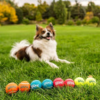 Outward Hound Squeaker Ballz 8-Pack Tennis Ball Dog Toys with Squeaker, Interactive Fetch Play for Pets Under 25 lbs, Training Balls for Indoor & Outdoor Exercise, Small, 2-inch