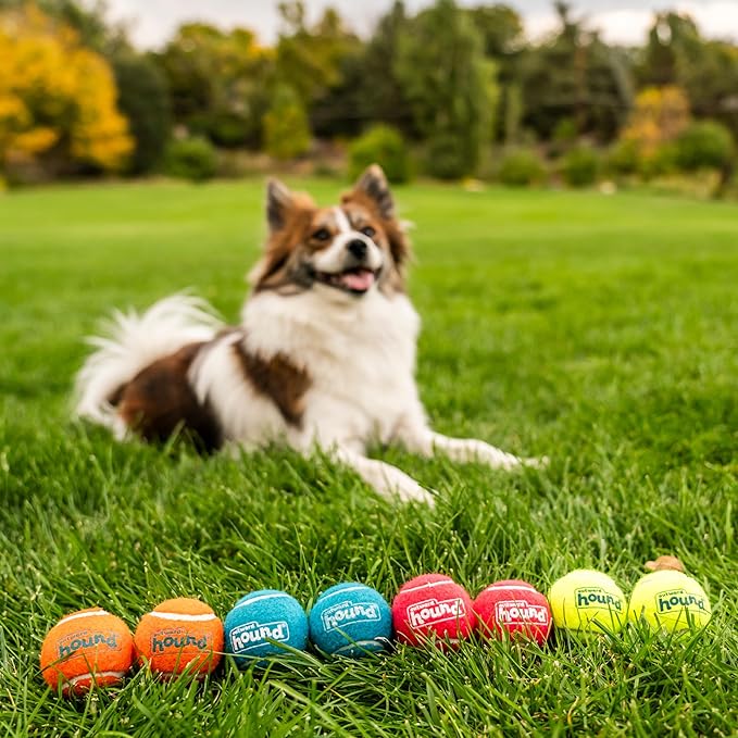 Outward Hound Squeaker Ballz 8-Pack Tennis Ball Dog Toys with Squeaker, Interactive Fetch Play for Pets Under 25 lbs, Training Balls for Indoor & Outdoor Exercise, Small, 2-inch