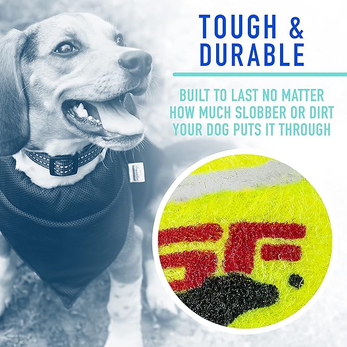 Franklin Pet Supply Co. RSF Squeak Mini 1.75" Tennis Balls - Dog Toy Squeaks When Squeezed - 12 Pack - For Small Dogs - Squeaker Noise
