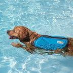 Outward Hound Dawson Swim Dog Life Jacket, High-Performance Neoprene Dog Life Vest for Swimming, Boating, and Water Safety, Small, Blue