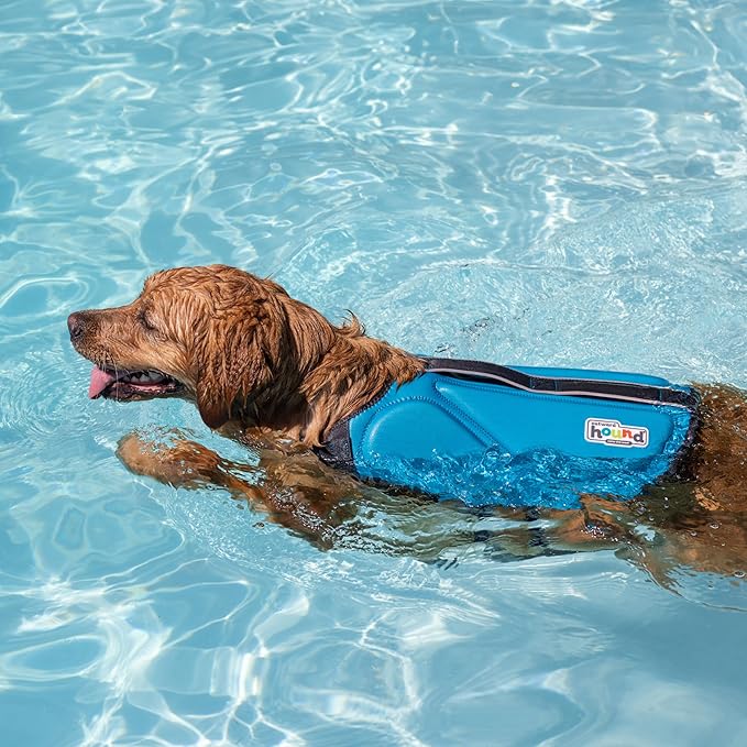 Outward Hound Dawson Swim Dog Life Jacket, High-Performance Neoprene Dog Life Vest for Swimming, Boating, and Water Safety, Large, Blue