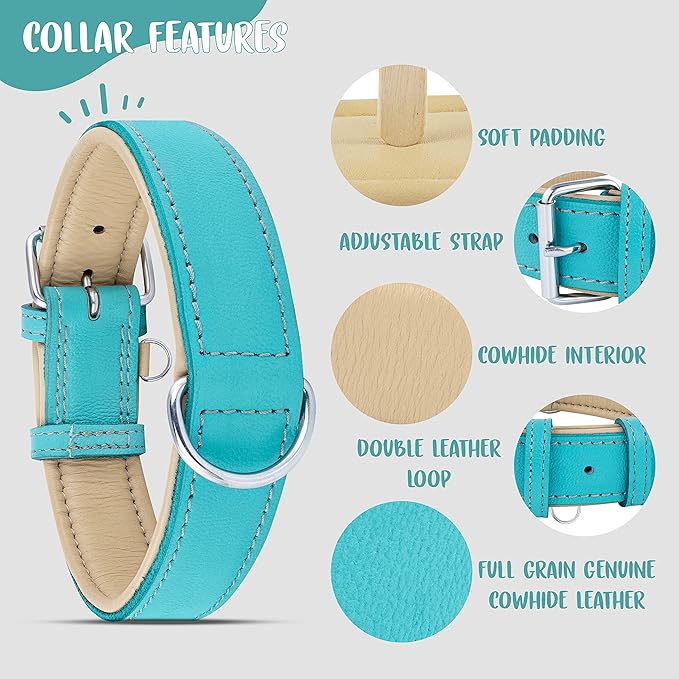 Riparo Adjustable Leather Dog Collar - Heavy Duty Wide Dog Collar for Small, Medium, Large and Extra Large Dogs with Dog Tag Holder, Blue Dog Collars (XL: 1.75" Wide for 21”-25” Neck, Aqua)