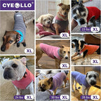 cyeollo 2 Pack Fleece Dog Sweater Vest Dog Sweatshirt Reflective Lightweight Pet Clothes for Small Dogs Girl Pet Apparel Pink, Fuschia, XL