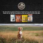 Wholesome Pride Pumpkin Slices 100% All-Natural Limited Ingredient Dehydrated Dog Treats, 5 oz
