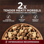 Purina ONE Natural High Protein Dry Dog Food Dry True Instinct with Real Beef and Salmon With Bone Broth and Added Vitamins, Minerals and Nutrients - (Pack of 4) 3.8 lb. Bags
