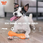 WEST PAW Zogoflex Hurley Dog Bone Chew Toy – Floatable Pet Toys for Aggressive Chewers, Catch, Fetch – Bright-Colored Bones for Dogs – Recyclable, Dishwasher-Safe, Non-Toxic, Large, Tangerine