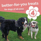 Fruitables Whole Jerky Bites, Healthy Dog Treats, Puppy Essentials, Jerky Dog Treats, Made in the USA, No Artificial Ingredients, Alaskan Salmon & Pear Flavor, 5oz