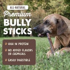 Mighty Paw Naturals Bully Sticks for Small & Medium Dogs - Grass Fed Beef Chews. Bully Sticks for Large Dogs. Lower Odor Stick Treat. Single Ingredient (6" - 5 Pack)