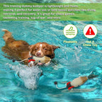 Archerest Dead Duck Dove Pheasant Dummy Bumper Toys for Waterfowl Hunting Retriever Dog Training, Floating Mallard Dummy Trainer Outdoor Soft Durable Realistic Fowl