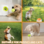 X-Small Dog Tennis Balls Dog Toys Ball 1.72" Pack of 12, Fit Ball Launchers