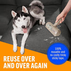 ChomChom Roller Pet Hair Remover - Reusable Dog and Cat Lint Rollers for Furniture, Couch, Car, and Clothes - Limited Dog Edition﻿
