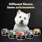 Cesar Wet Dog Food Loaf in Sauce Bacon Feast Variety Pack, 3.5 oz. Easy Peel Trays (12 Count, Pack of 2)