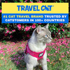 Travel Cat Harness and Leash Set - Adjustable Fit Mesh Cat Harness and Reflective Strap - Comfort Walking Vest for Kitten for Outdoor Walking, Hiking (Medium)