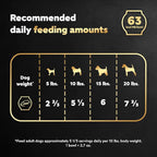 Cesar Warm Bowls Wet Dog Food Roasted Chicken Entrée, 2.7 oz. Trays (10 Count, Pack of 1)