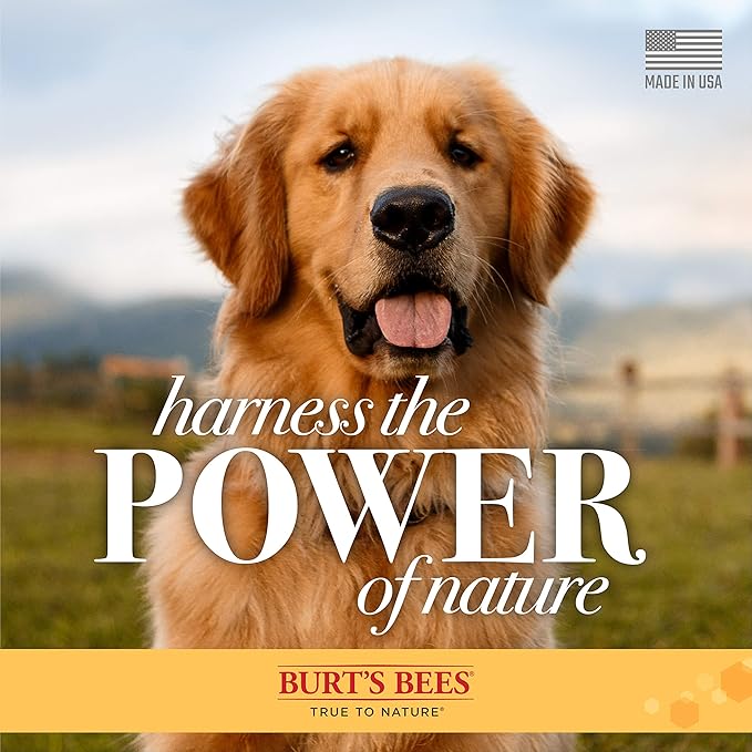 Burt's Bees for Pets Hypoallergenic Shampoo for Dogs with Shea Butter and Honey, 95% Natural Origin Formulas, Shampoo for Sensitive Dogs - Gentle Dog Shampoo, 16 oz