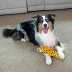 Outward Hound Ropiez Rope Interactive Dog Tug Toy for Tugging Squeaky Fun, 15.4 Inch Giraffe, Yellow, Small