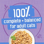 Purina Friskies Shreds Turkey and Cheese Dinner in Gravy High Protein Wet Cat Food - (Pack of 24) 5.5 oz. Cans