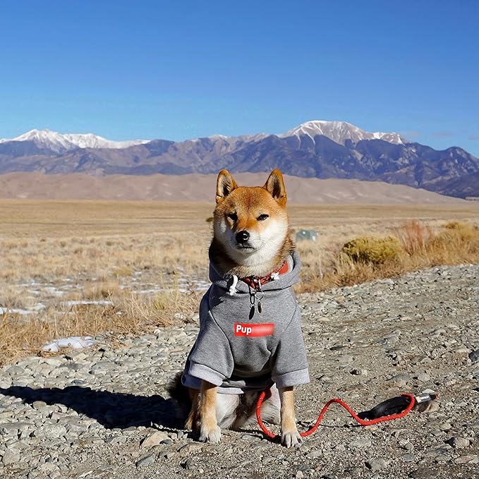 ChoChoCho Pup Dog Hoodie, Dog Sweater, Fashion Dog Clothes, Pet Clothing Cotton Cat Hoodies Stylish Streetwear Sweatshirt Gray Tracksuits Outfit for Dog Cat Puppy Small Medium Large (XL)