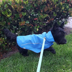 Mile High Life Dog Raincoat, Adjustable Waterproof Reflective Rain Jacket for Small Medium Large Dogs, Lightweight Breathable Pet Rain Coat with Leash Hole(Blue,XXS Chest 16-19")