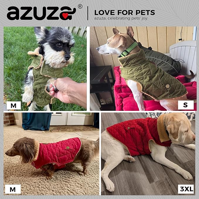 azuza Dog Jacket Waterproof & Windproof Dog Coat for Small Dogs with Thick Fleece, High Collar with Leash Hole, Adjustable Velcro & Elastic Belly, Rose Red M