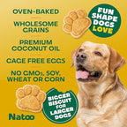 NATOO Healthy Treats for Large Dogs, Crunchy Biscuits Coconut & Mango Flavor – Natural Dog Treats, Rich in Omega 6, Prebiotics & Fiber, Antioxidants for Immunity (8 oz)