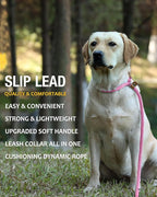 lynxking 6 FT Dog Leash Slip Lead 2 Pack Strong Heavy Duty Braided Dog Training Leash No Pull Training Lead Leashes for Medium Large and Small Dogs