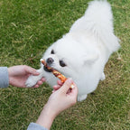 MON2SUN Dog Treats 5 Inch Double Flavor Chicken & Duck Wrapped Rawhide Sticks, Teeth Cleaning for Small Dogs, 10.6 oz (20 Count)