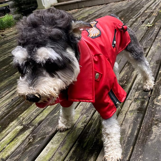 Lovelonglong Cool Dog Leather Jacket, Warm Coats Dogs Windproof Cold Weather Coats for Large Medium Small Dogs with Eagle Embroidery Red XXL