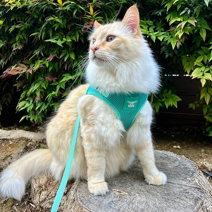 Travel Cat x Jackson Galaxy Harness and Leash Set - Adjustable Fit Mesh Cat Harness with Nylon Leash - Comfort, Escape Proof Harness for Cats, Kitten for Outdoor Walking, Hiking (Small)