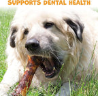Beef Shin Bones for Dogs - Liver Coated Long Lasting Dog Chews for Aggressive Chewers - Rawhide-Free Big Bones for Large Dogs - Healthy Large Dog Bone (1 Pack)