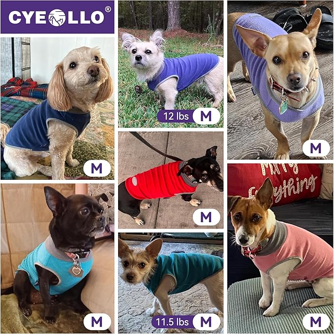 cyeollo 2 Pack Fleece Dog Sweater Vest Dog Sweatshirt Reflective Lightweight Doggie Clothes for Small Dogs Girl Pet Apparel Pink, Fuschia, M