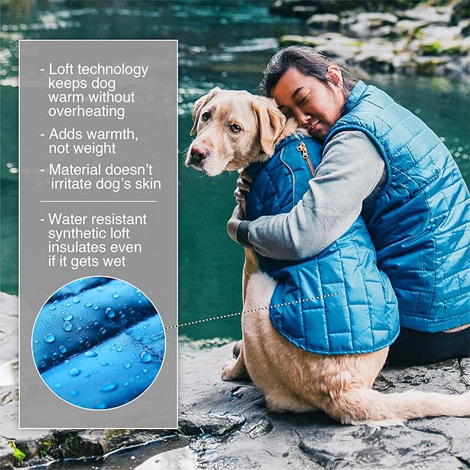 Kurgo Loft Dog Jacket - Reversible Cozy Coat for Outdoor Adventures - Water Resistant - Athletic Fit - Machine Washable Fabric - Reflective Dog Gear - Large - Deep Violet