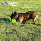 Wobble Wag Giggle & Glow | Rolling Enrichment Toy for Fun Playtime, Interactive Play for Indoor or Outdoor, Keeps Dogs & Puppies Large, Medium or Small Busy & Moving, As Seen on TV | Pack of 2