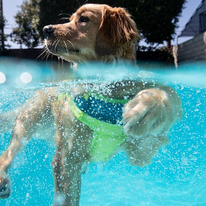 Outward Hound Standley Sport Dog Life Jacket, High-Performance Ripstop Dog Life Vest for Swimming, Boating, and Water Safety, XS, Green