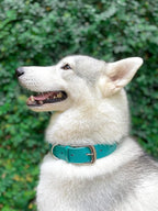 Tuff Pupper Classic Heavy Duty Dog Collar | 10x Stronger Than Leather | 100% Waterproof & Odor Proof Dog Collar | Tough Rust-Proof All Metal Hardware