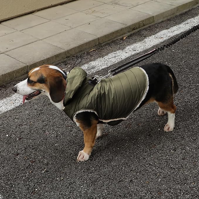 Fleece Lining Dog Hoodie with Harness Built in,Extra Warm Small Dog Jacket in Winter Puppy Coats with Drawstring Hooded,Green XS