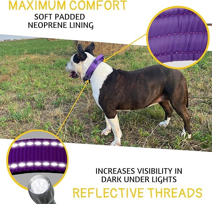 ADITYNA Heavy Duty Dog Collar for Large Dogs - Reflective Purple Collar with Handle for Training, and Walking - Wide, Thick, Tactical, Soft Neoprene Padded