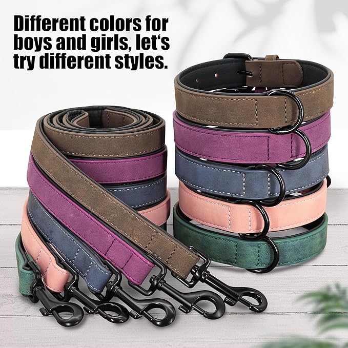 Didog Soft Padded Leather Dog Collar and Leash Set, Adjustable Dog Leash and Collar Set with Metal Buckle, Breathable Dog Collars with 4FT PU Leather Dog Leash for Small Medium Dogs, Blue, M