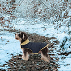Queenmore Warm Puffer Dog Coat, Quilting Winter Jacket Ultra Thick Plush Lining with Storage Pockets (Green, X-Small)
