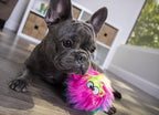 goDog Furballz Squeaky Plush Ball Dog Toy, Chew Guard Technology - Rainbow, Medium