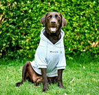 Tuff Pupper Dog Hoodie | Premium Quality 100% Organic Cotton | Ultra Soft Interior for Superior Comfort | Elastic Cuffs & Drawstring for Warmth | Stretch Fit Suitable for All Breeds (Gray, 3XL)