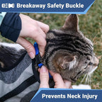 GoTags Cat Collars with Personalized Tag, Breakaway Collar with Safety Buckle Matching Bell, Engraved Custom with Name and Phone, Adjustable for Cats and Kitten, (Red with Nameplate)