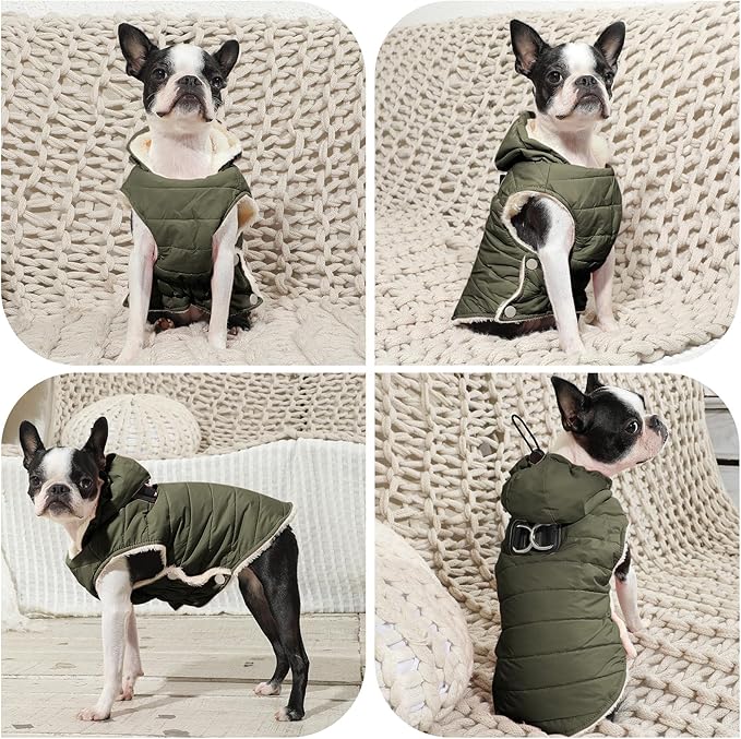 Fleece Lining Dog Hoodie with Harness Built in,Extra Warm Small Dog Jacket in Winter Puppy Coats with Drawstring Hooded,Green XS