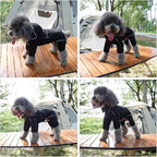 LOVELONGLONG Fleece-Lined Dog Raincoat with Removable Hood – Waterproof Winter Full Body Dog Jacket – Windproof Snowproof Cold-Weather Suit – Black-F S