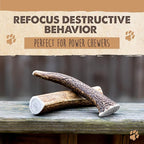 Mighty Paw Split Elk Antlers for Dogs (Sourced in The USA) | 2 Whole Large 8"+ Long Lasting Bones for Aggressive Chewers - Naturally Shed Split Deer Antler for Dogs - Low Odor Chews (Pack of 2)