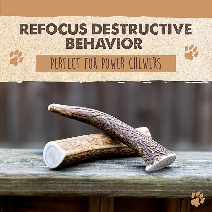 Mighty Paw Split Elk Antlers for Dogs (Sourced in The USA) | 2 Whole Large 8"+ Long Lasting Bones for Aggressive Chewers - Naturally Shed Split Deer Antler for Dogs - Low Odor Chews (Pack of 2)